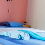Giola And 1 阿斯特里斯