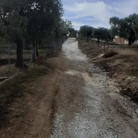 Giola And 1 * Αστρίδα